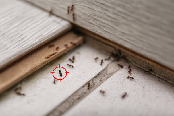 Pest Control Cost in Northfield, MN