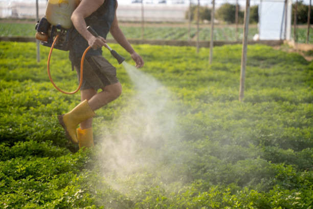 Best Local Pest Control Services  in Northfield, MN