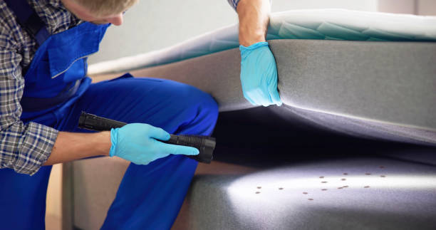 Trusted Northfield, MN Pest Control Experts