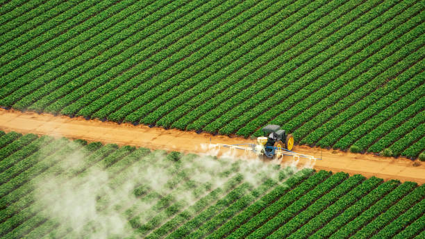 Best Mosquito Control Services  in Northfield, MN