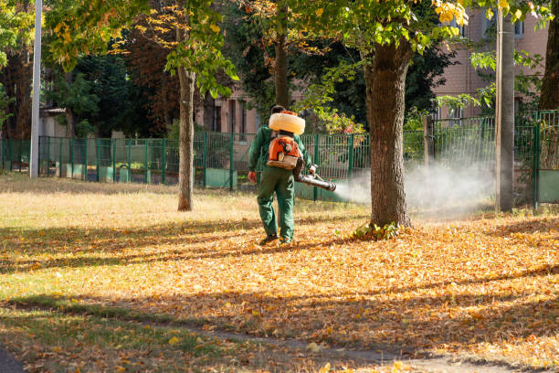 Best Wasp Removal Services  in Northfield, MN