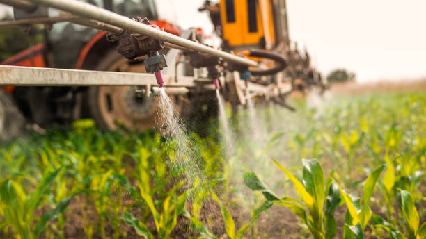 Best Ant Control Services  in Northfield, MN